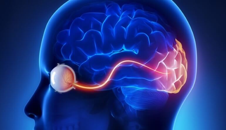 Neuro-ophthalmology