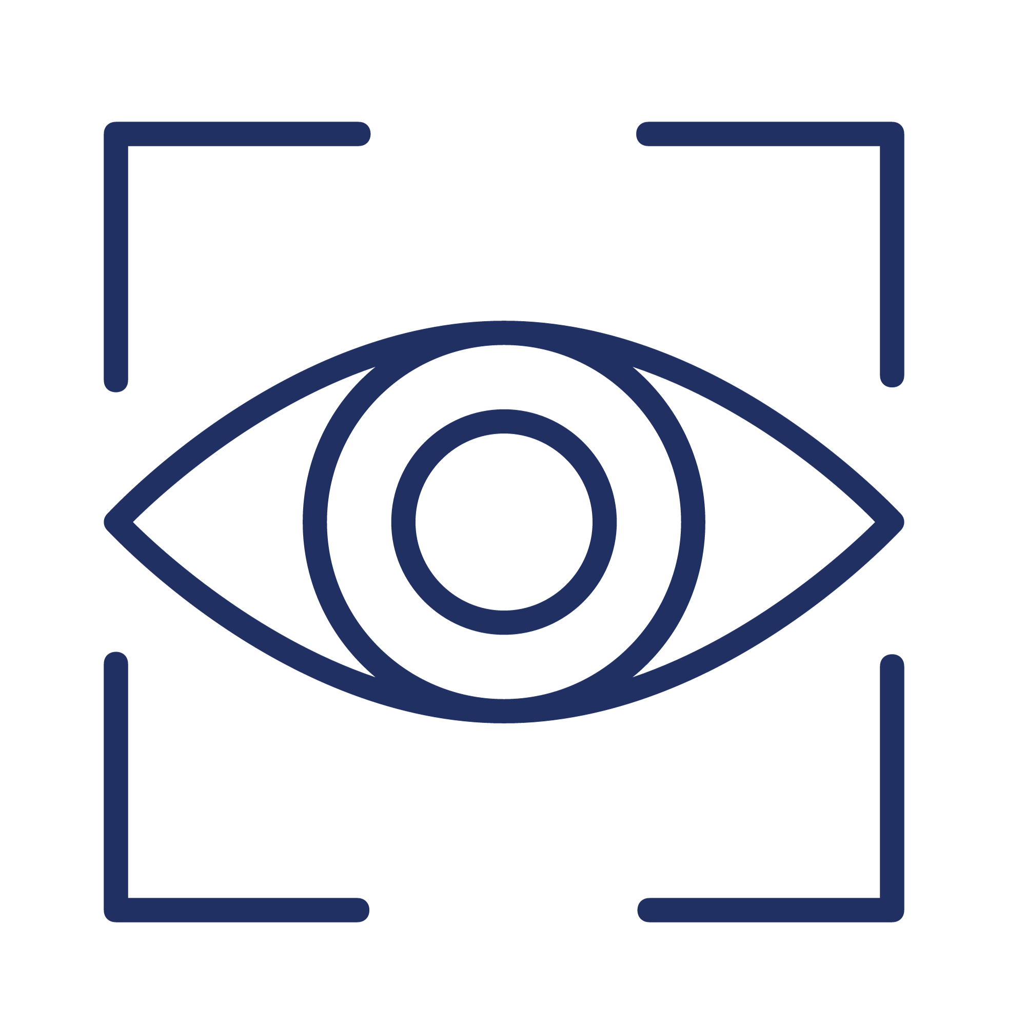 vision